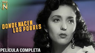 Donde Nacen Los Pobres 1950  Tele N  Película Mexicana Completa [upl. by Kiley]