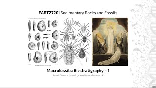 Biostratigraphy  EART27201  Sedimentary Rocks and Fossils [upl. by Roddy151]