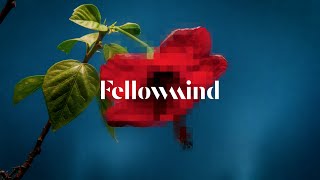 Fellowmind  Digital innovation for a sustainable future [upl. by Syla85]