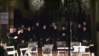 Puer Natus M Da Rold  Coro Montecimon  Natale in Duomo 2015 [upl. by Nosae]