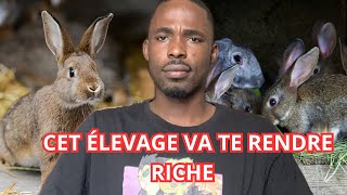 VOICI COMMENT L’ÉLEVAGE DES LAPINS PEUT TE RENDRE RICHE [upl. by Willet]