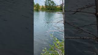 Quarry Lake Canmore Alberta [upl. by Yrocaj]