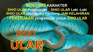 Membuka Tabir SHIO ULAR Lengkap [upl. by Rehpotsrihc]