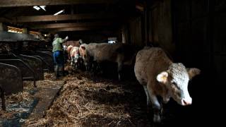 Braesteads A Cumbrian hill farm [upl. by Sileray576]