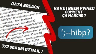 HaveIBeenPwned  Comment ça marche [upl. by Leviralc802]