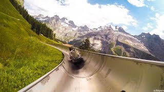 Mountain slide in Switzerland Rodelbahn [upl. by Atteuqcaj]