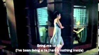 evanescencebring me to life official video with lyrics [upl. by Eiramlehcar]