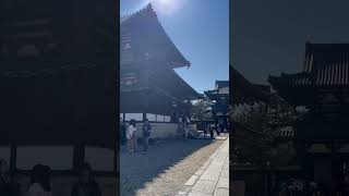 法隆寺に行ってきました 法隆寺 奈良 お寺 旅行 nara travel beautiful temple japanesetemple [upl. by Xila]