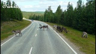 Arctic Circle  From Rovaniemi to Karasjok [upl. by Neeron]