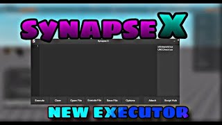 HOW TO DOWNLOAD THE LATEST SYNAPSE XIT IS WORKINGEXECUTOR ROBLOX 2024 [upl. by Portia917]