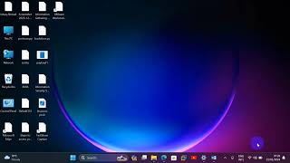 VMware works Station 17 pro  Kali linux Installation [upl. by Byler]