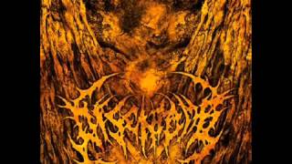 DISENTOMB Gutted [upl. by Riada]