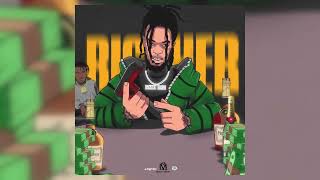 Roze Don  Richer Ft Aalvero Official Visualizer [upl. by Monda993]