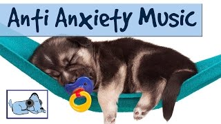 Relaxing Music for your Dog  Reduce Anxiety amp Stress During Fireworks [upl. by Diamond]