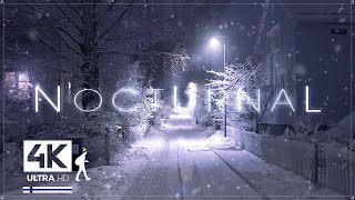 3 Hours of Pure Heavy Snowfall Night Walks in Finland  Slow TV 4K [upl. by Atteyek178]