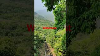 Wildernest nature resort in Chorla ghats asmr goa nature wildlife wilderness chorlaghat wild [upl. by Tace951]