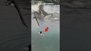 NGERI HAMPIR SAJA PRIA INI DISERANG IKAN MONSTER 😱 fishing amazing bigfish catfish [upl. by Mable]