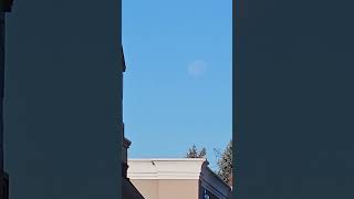 The Moon in the Daytime [upl. by Dela]