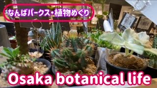 🍃Osaka botanical life🍃なんばパークス・植物めぐりに行ってきました💛 [upl. by Aikal805]