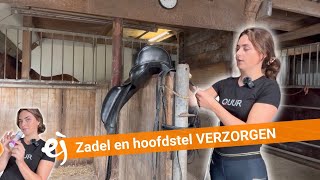 HOW TO Zadel en hoofdstel verzorgen  5  EPPLEJECK [upl. by Alleber]