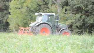 Gras Mulchen mit VogelampNoot und Fendt im Einsatz [upl. by Slifka]