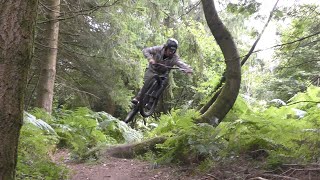 Haldon Forest Mtb  Devon Trail Centre [upl. by Baillie]