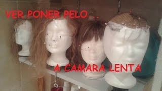 VER PONER PELO A CAMARA LENTA [upl. by Twedy]