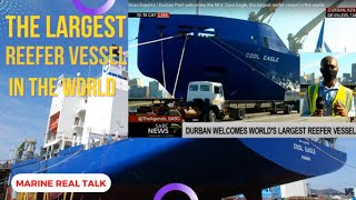 The Largest Reefer Vessel in the WorldMarine Real Talk Chief Boyet [upl. by Anesor]