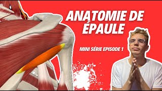 Anatomie de lÉpaule  Tout Ce Que Vous Devez Savoir  💪🦴 [upl. by Downall]