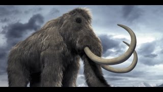 Amazing Life Mammoths of The Ice Age Discovery Documentary 2015 HD [upl. by Maurizio]