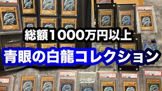 【遊戯王】 ブルーアイズホワイトドラゴンの誕生日を超豪華コレクションと祝ってみた！（青眼の白龍） [upl. by Erich]