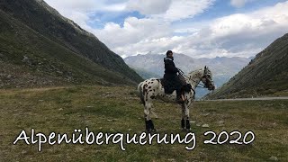 😧 ABSTURZ MIT DEM PFERD 😧 Alpenüberquerung EXTREM [upl. by Adnohsirk633]