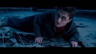 Harry má zácpu  Harry Potter  BOHUŽEL UŽ BEZ ZVUKU CZ parody [upl. by Volotta737]