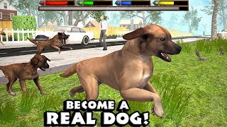 Ultimate Dog Simulator by Gluten Free Games  Part 1  Android Gameplay HD [upl. by Eddi]