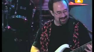 Creedence Clearwater Revisited Down On The Corner Festival de Viña 1999 [upl. by Glasgo]