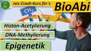 Epigenetik  HistonAcetylierung und DNAMethylierung detailliert und mit Anwendungsaufgabe BioAbi [upl. by Dat]