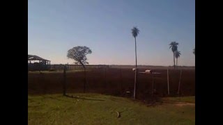 VIDEO ESTANCIA LOMITA  PARAGUAY [upl. by Yazbak]