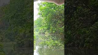 Poovar Islandkerala mangroveforest poovarisland [upl. by Htessil]