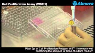 Cell Proliferation Assay WST1 [upl. by Aerehs]