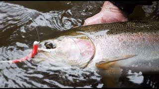 Early Winter Steelhead Fishing with SURPRISE CATCH  Addicted Life Ep 19 [upl. by Adnalram]