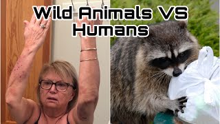 5 RABID Animals That ATTACKED HUMANS [upl. by Ailsun]