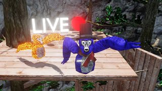 Gorilla Tag Live With Viewers Minigames and Codes [upl. by Oberon382]