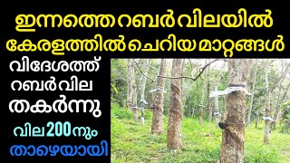 ഇന്നത്തെ റബ്ബർ വിലയിൽ പ്രതീക്ഷ മങ്ങി കേരളം  Manojnediyackal rubber tapping [upl. by Kelly]