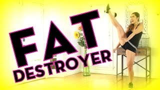 Fat Destroyer  BEST Cardio Workout [upl. by Marylee]