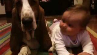 Basset hound and baby [upl. by Ulita]