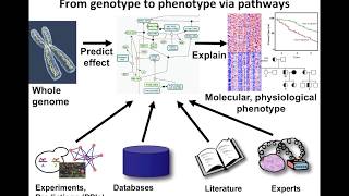 Introduction to Pathway and Network Analysis [upl. by Nitsew310]