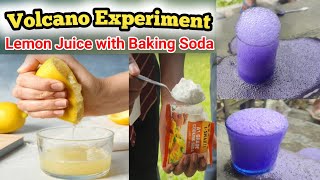 Lemon juice and Baking soda experiment  Lemon Volcano  Fun experiment  Science Practical [upl. by Howund]