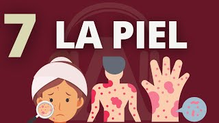 La piel  La enfermedad como camino 🎙🎧 Audiolibro VOZ HUMANA [upl. by Candide]