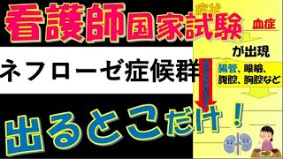 看護師国家試験出るとこだけ『ネフローゼ症候群』 聞いて覚える。 [upl. by Etolas]