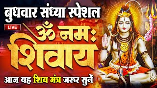 LIVE ॐ नमः शिवाय धुन  Om Namah Shivaya ShivDhun  NonStop ShivDhun  Daily Mantra [upl. by Ethel6]